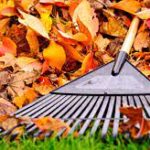 Fall Clean Up Fall Clean Up